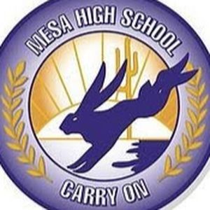 Meet your Posher, Elaine